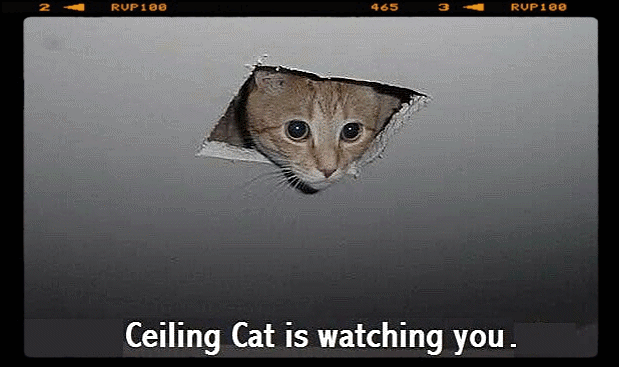 zzzzzzzzzzzzzzzceiling.gif