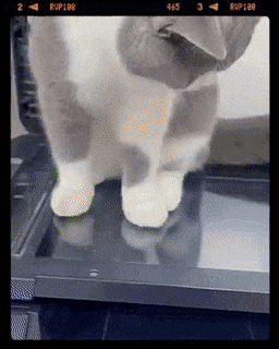 zzzzzzzzzzzzzzzzzzzzzcoppy.gif