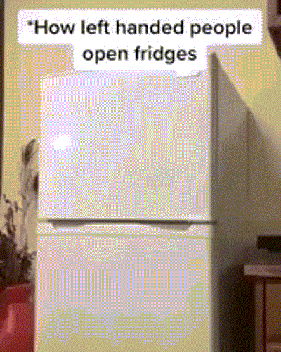zzzzfridge.gif