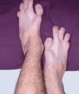 so1zjq6.gif