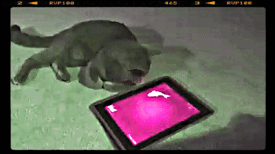 zzzzzzzzzzzzipad.gif