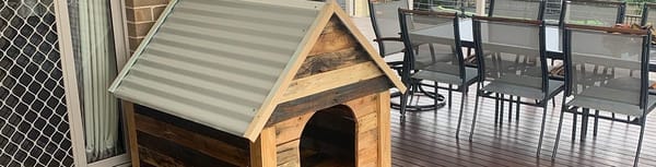 D.I.Y. projects for pets